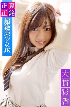 卡车运货模拟游戏大全